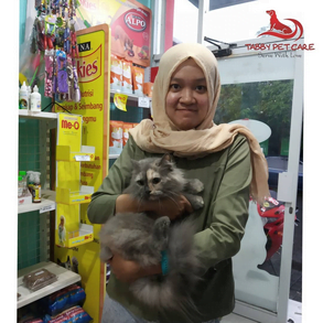 TEstimoni pelanggan Grooming Kucing Surabaya