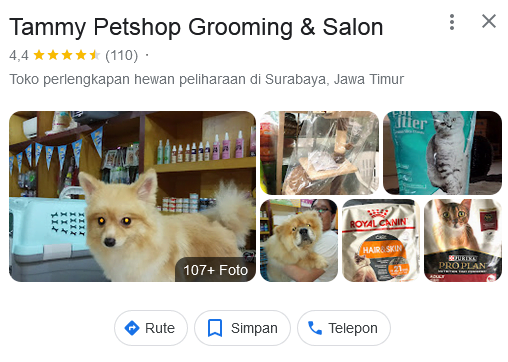 Tammy Pet Shop Grooming Kucing Surabaya